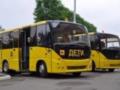 Школы в регионах получат 1549 новых автобусов