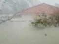 Итоги урагана «Дориан»