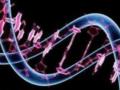 Генетические отходы способствуют развитию рака