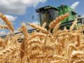 В Украине может застрять до 60 млн тонн зерна, считает Зеленский