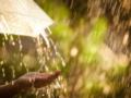 Лий, зливо, лий: синоптики в августе прогнозируют дожди и жару
