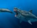 Ученые рассказали о размерах древних гигантских акул