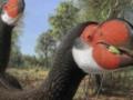 Ученые рассказали, почему вымерли самые большие птицы на Земле