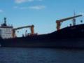 Еще пять кораблей с зерном и другим продовольствием вышли из черноморских портов