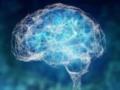 Новый метод улучшения работы мозга: исследование и открытие