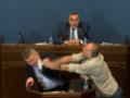 Масова бійка сталась в парламенті Грузії при розгляді закону  про іноагентів  (відео)