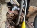 В России женщина зарубила топором троих своих детей