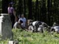 На Тернопольщине нашли первые останки людей, которые могли оказаться жертвами Волынской трагедии