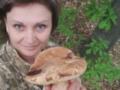 Грибной сезон: где уже собирают ведрами, а куда ехать за белыми в июне