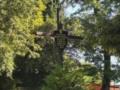 Во Львове начались поиски останков военных, погибших возле города в 1939 году