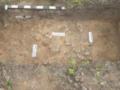 В Ивано-Франковской области обнаружили следы дороги XII-XIII веков