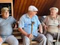 Недополученная пенсия, стаж до 1992 года и способы идентификации: все важные новости для пенсионеров