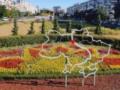 Ко Дню Независимости в Киеве высадили оригинальные клумбы