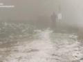 На День Независимости в Карпатах выпал снег