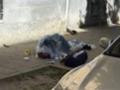 Війна, день 1284. Вбивство Парубія у Львові, масовані обстріли РФ та атака ГУР по хімзаводу в Тулі — головне за добу
