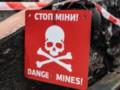 В Херсоне 13-летний подросток подорвался на российской мине