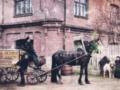 Домашние животные старого Киева: собак освящали в храмах, а голубей отвозили за город