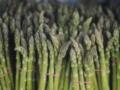 500 гривен за пучок: почему спаржа держится в тренде и как ее выращивают фермеры