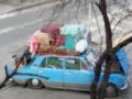 70-летний переселенец из Донбасса вывез с собой  всю жизнь , собаку и кур в одном автомобиле