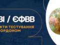 Экзамены для поступления в магистратуру за пределами Украины организуют в 10 странах