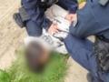 Стрельба в школе на Закарпатье: подростка взяли под стражу