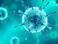 В Украине зафиксирован первый случай субварианта COVID-19 «Цикада»
