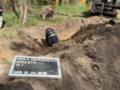 На Волыни во время поисковых работ обнаружили массовое захоронение 1943 года