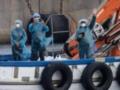 Угрожает ли хантавирус украинцам и как от него защититься