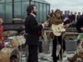 В Лондоне на месте последнего концерта The Beatles создадут музей группы