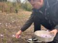 Спаржа, артишок и шафран: переселенец из Каховки выращивает «экзотику» под Черкассами и учит других