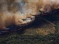 Пожар возле Мадрида признали худшим в истории