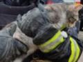 Ночевала с котами на скамейке, - РФ разрушила квартиру львовянки, которая занимается животными, женщине негде жить
