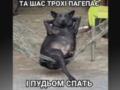 Анекдоты и мемы недели: укрытие бронируем заранее и российская ракета в Польше