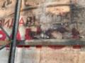 Издательство  Ранок  назвало сроки обновления после российских атак