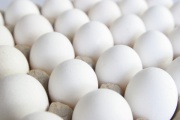 В Нидерландах и Бельгии проведены рейды по делу об отравленных яйцах