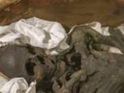 Киргизские ученые требуют вернуть в музей мумию, закопанную по закону шариата