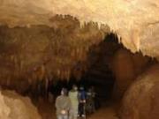 В Крыму найдена карстовая пещера с прекрасно сохранившимися останками древних животных