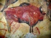 В Индонезии найдена наскальная живопись возрастом 40 тысяч лет