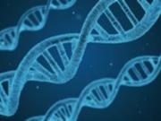 Ученые выделили гены, связанные с развитием шизофрении
