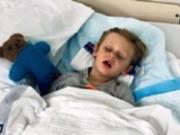Австралиец спас четырехлетнего сына от питона