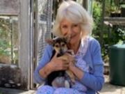 Королева Камилла взяла нового любимца из приюта