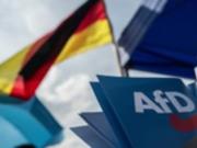 В министерстве юстиции Германии рассмотрят возможность запрета партии AfD