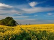Гороскоп для всех знаков зодиака на 9 июля 2025 года