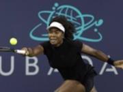 Сенсация от легенды: Винус Уильямс установила рекорд на турнире WTA