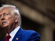 Ультиматум Трампа Путину не приблизил мир - WSJ
