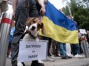 После пинка. Рада вернула независимость НАБУ