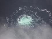 Подозреваемого в подрыве Nord Stream экстрадировали в Германию - СМИ