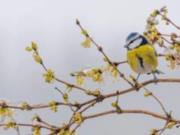 Погода в Украине 4 декабря: из-за влияния антициклона будет относительно тепло