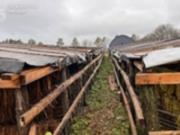 В Хмельницкой области раскрыли подпольное производство табака