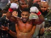 Эдди Хирн раскрыл перспективы Джошуа на ближайшее будущее